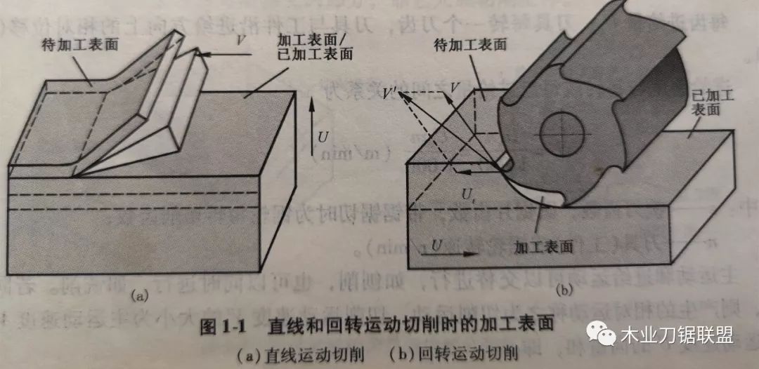 家具頭條|木材切削原理與木工刀具基礎(chǔ)知識(shí)之1：木材切削的基本概念！