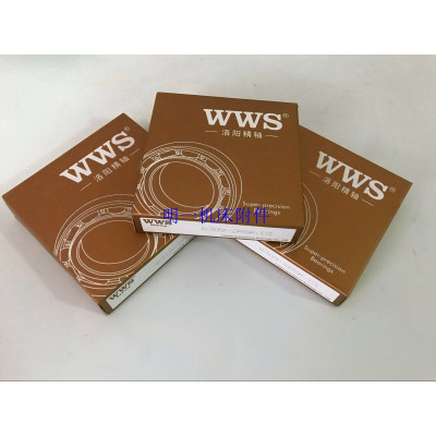 明治精工-WWS洛阳精轴6300-2RSR.C3系列