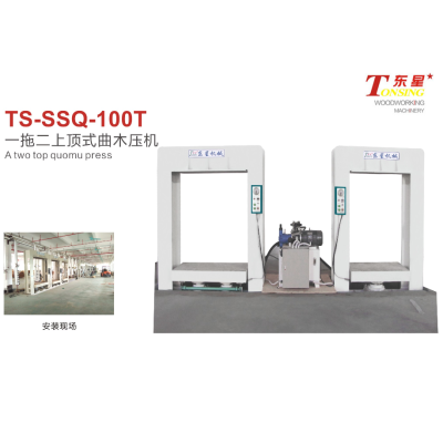 东星机械—一拖二上顶式曲木压机TS-SSQ-100T